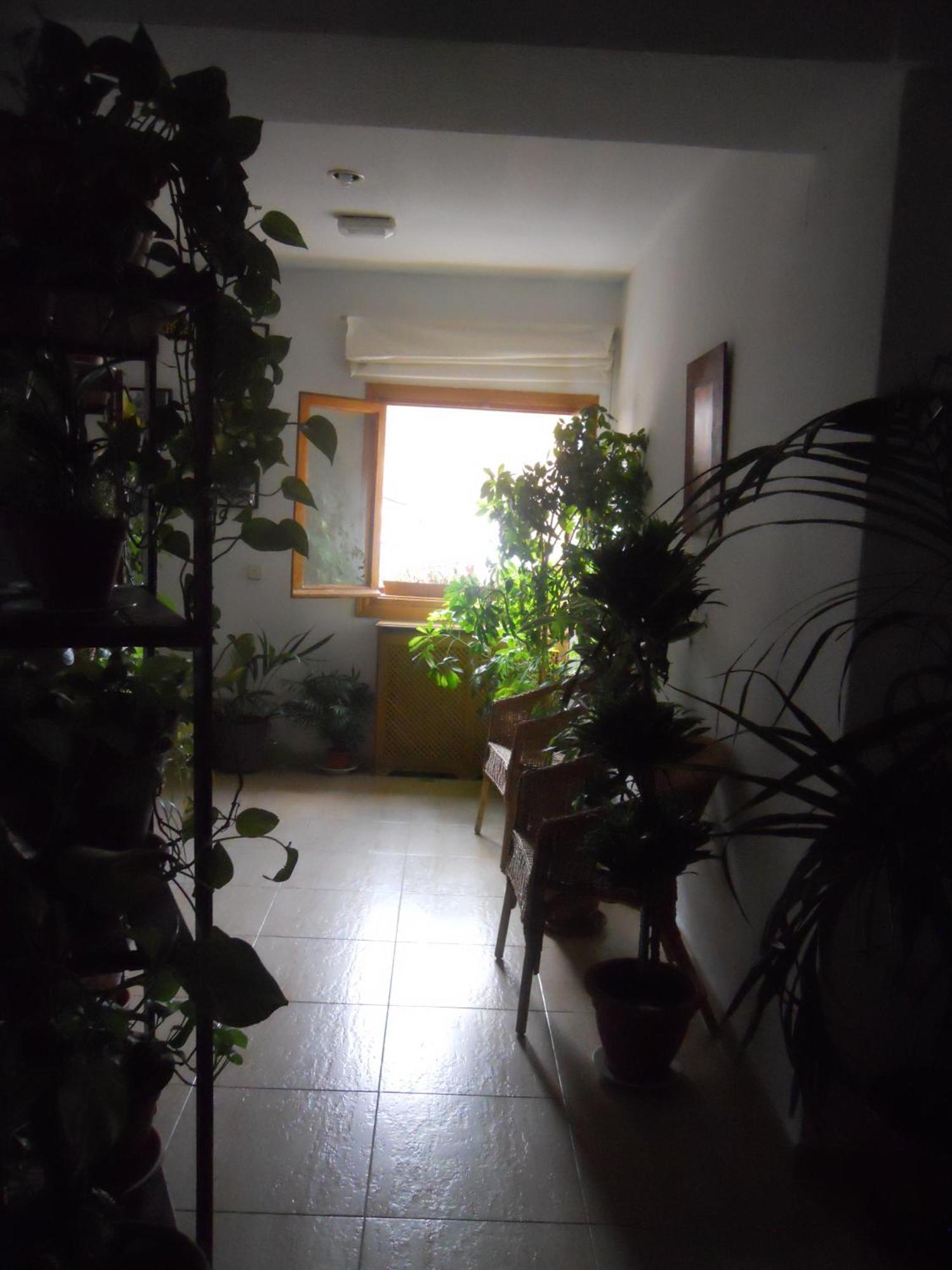 Hostal El Descanso 마드리드 외부 사진