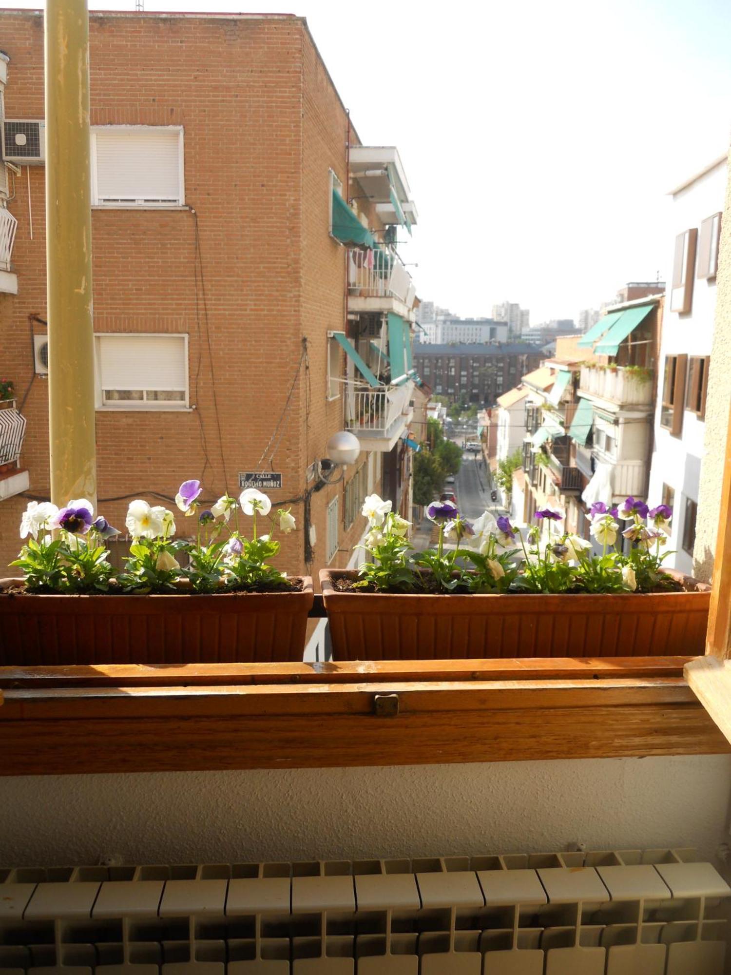 Hostal El Descanso 마드리드 외부 사진