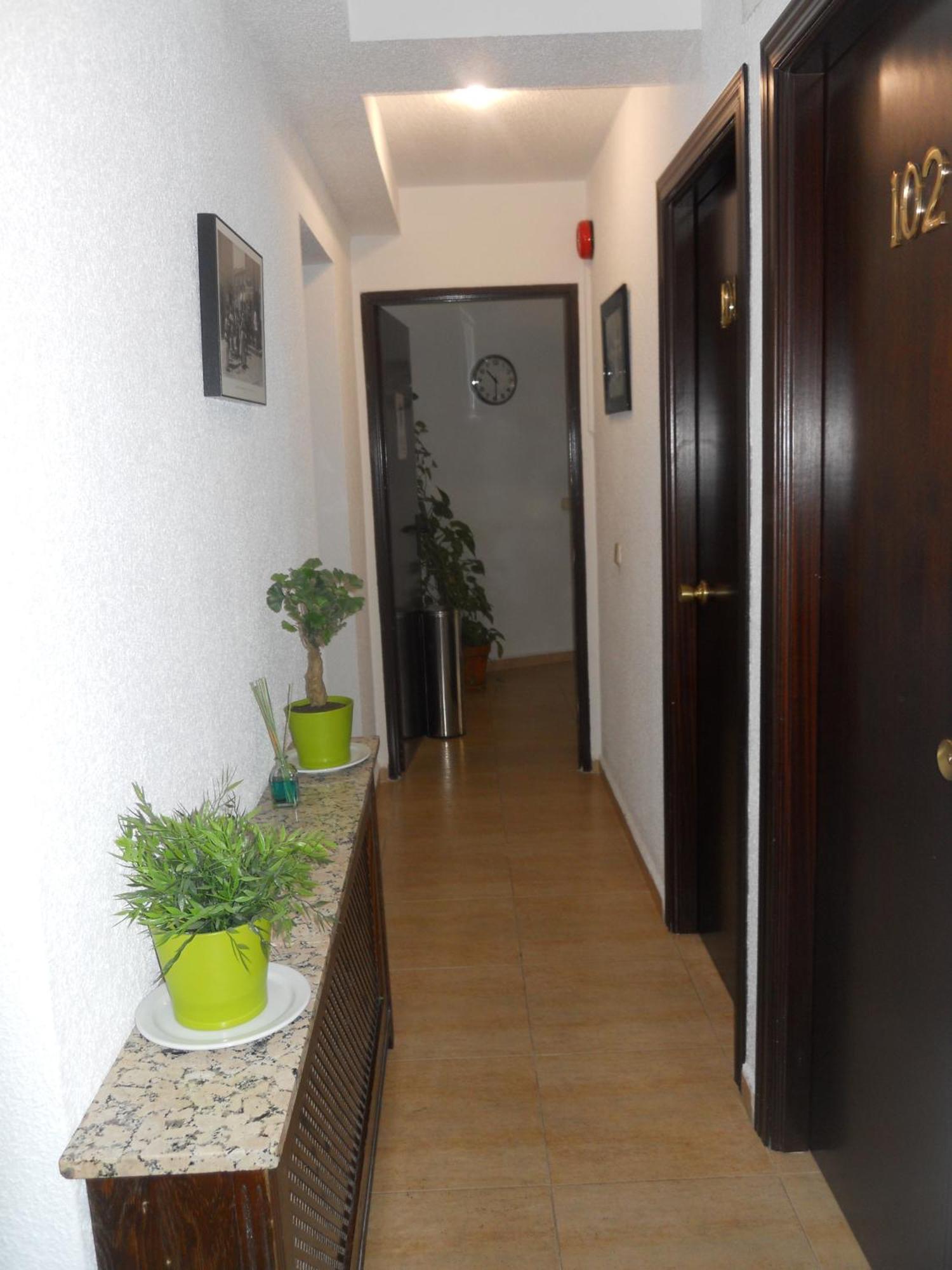 Hostal El Descanso 마드리드 외부 사진