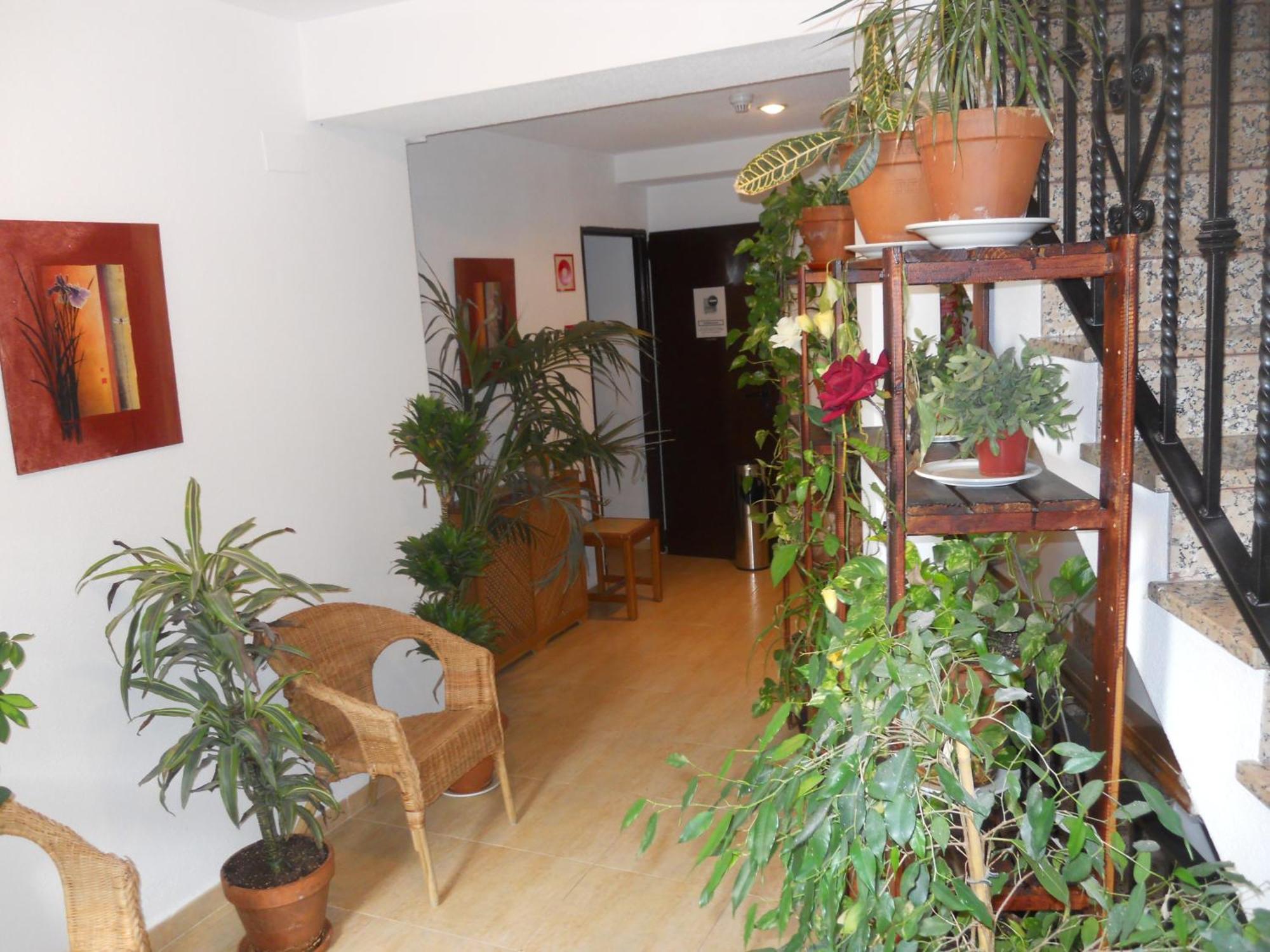 Hostal El Descanso 마드리드 외부 사진